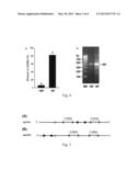 DOUBLE-STRANDED RNA-BASED NANOPARTICLES FOR INSECT GENE SILENCING diagram and image