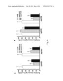 DOUBLE-STRANDED RNA-BASED NANOPARTICLES FOR INSECT GENE SILENCING diagram and image