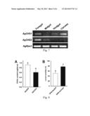 DOUBLE-STRANDED RNA-BASED NANOPARTICLES FOR INSECT GENE SILENCING diagram and image