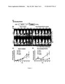 TUMOR THERAPY WITH REPLICATION COMPETENT SINDBIS VIRAL VECTORS diagram and image