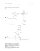 SYSTEM FOR DELIVERING THERAPEUTIC AGENTS INTO LIVING CELLS AND CELLS     NUCLEI diagram and image