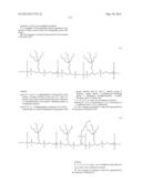 SYSTEM FOR DELIVERING THERAPEUTIC AGENTS INTO LIVING CELLS AND CELLS     NUCLEI diagram and image