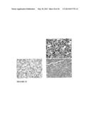 SYSTEM FOR DELIVERING THERAPEUTIC AGENTS INTO LIVING CELLS AND CELLS     NUCLEI diagram and image