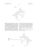 SYSTEM FOR DELIVERING THERAPEUTIC AGENTS INTO LIVING CELLS AND CELLS     NUCLEI diagram and image