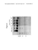 PRODUCTION OF TRIACYLGLYCERIDES FROM RENEWABLE BIOMASS USING OLEAGINOUS     MICROORGANISMS diagram and image