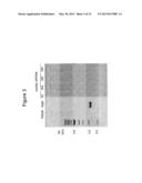 PRODUCTION OF TRIACYLGLYCERIDES FROM RENEWABLE BIOMASS USING OLEAGINOUS     MICROORGANISMS diagram and image