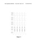 DEVICES AND METHODS OF LOW FREQUENCY MAGNETIC STIMULATION THERAPY diagram and image