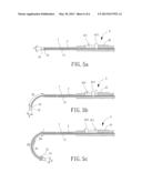 Endoscope diagram and image