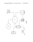 TEMPERATURE BASED FERTILITY MONITORING SYSTEM AND RELATED METHOD diagram and image