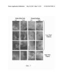 HYPERSPECTRAL IMAGING OF ANGIOGENESIS diagram and image