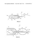 OPTICAL CAPSULE AND SPECTROSCOPIC METHOD FOR TREATING AND DIAGNOSING THE     INTESTINAL TRACT diagram and image