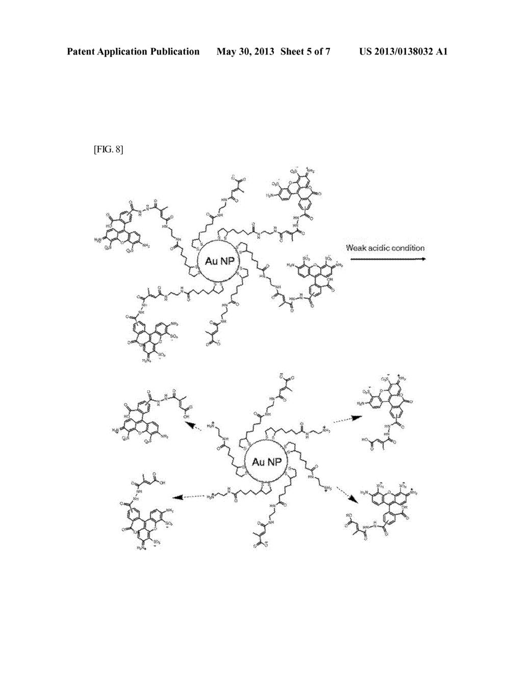 ANTICANCER AGENT DELIVERY SYSTEM USING pH-SENSITIVE METAL NANOPARTICLES - diagram, schematic, and image 06