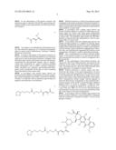 ANTICANCER AGENT DELIVERY SYSTEM USING pH-SENSITIVE METAL NANOPARTICLES diagram and image