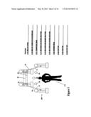 MULTI-MEDIA SPATIAL CONTROLLER HAVING PROXIMITY CONTROLS AND SENSORS diagram and image