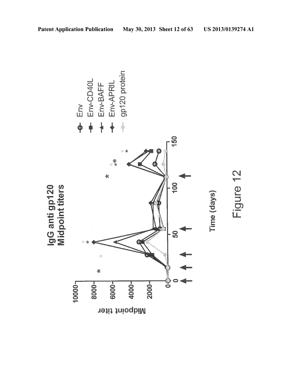 B-CELL STIMULATING FUSION PROTEINS OF AN ANTIGEN WITH BAFF OR APRIL - diagram, schematic, and image 13