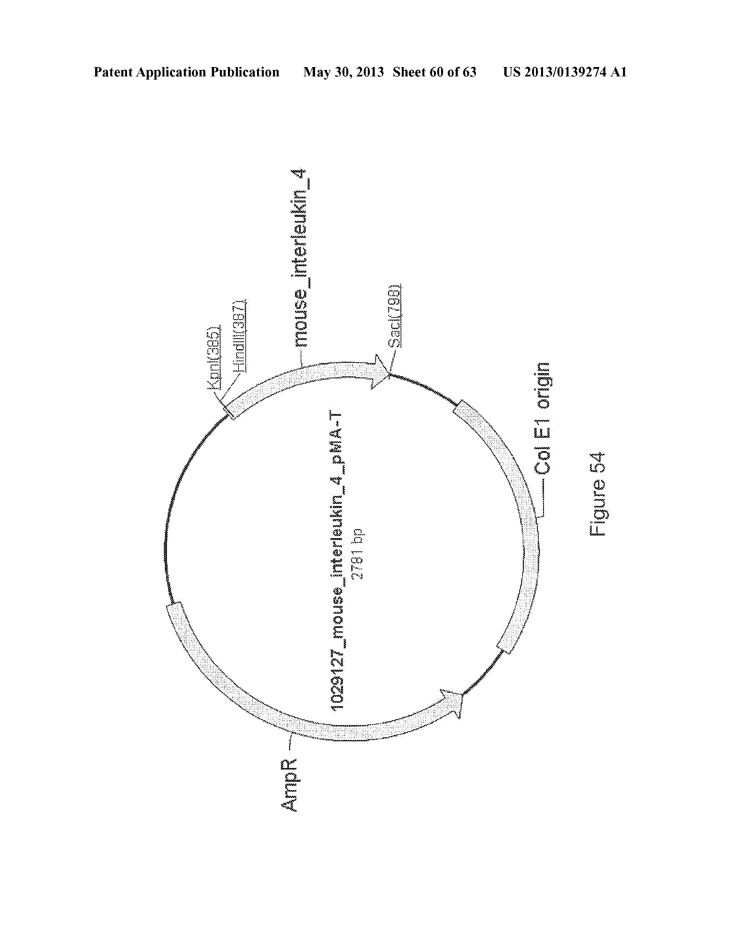 B-CELL STIMULATING FUSION PROTEINS OF AN ANTIGEN WITH BAFF OR APRIL - diagram, schematic, and image 61