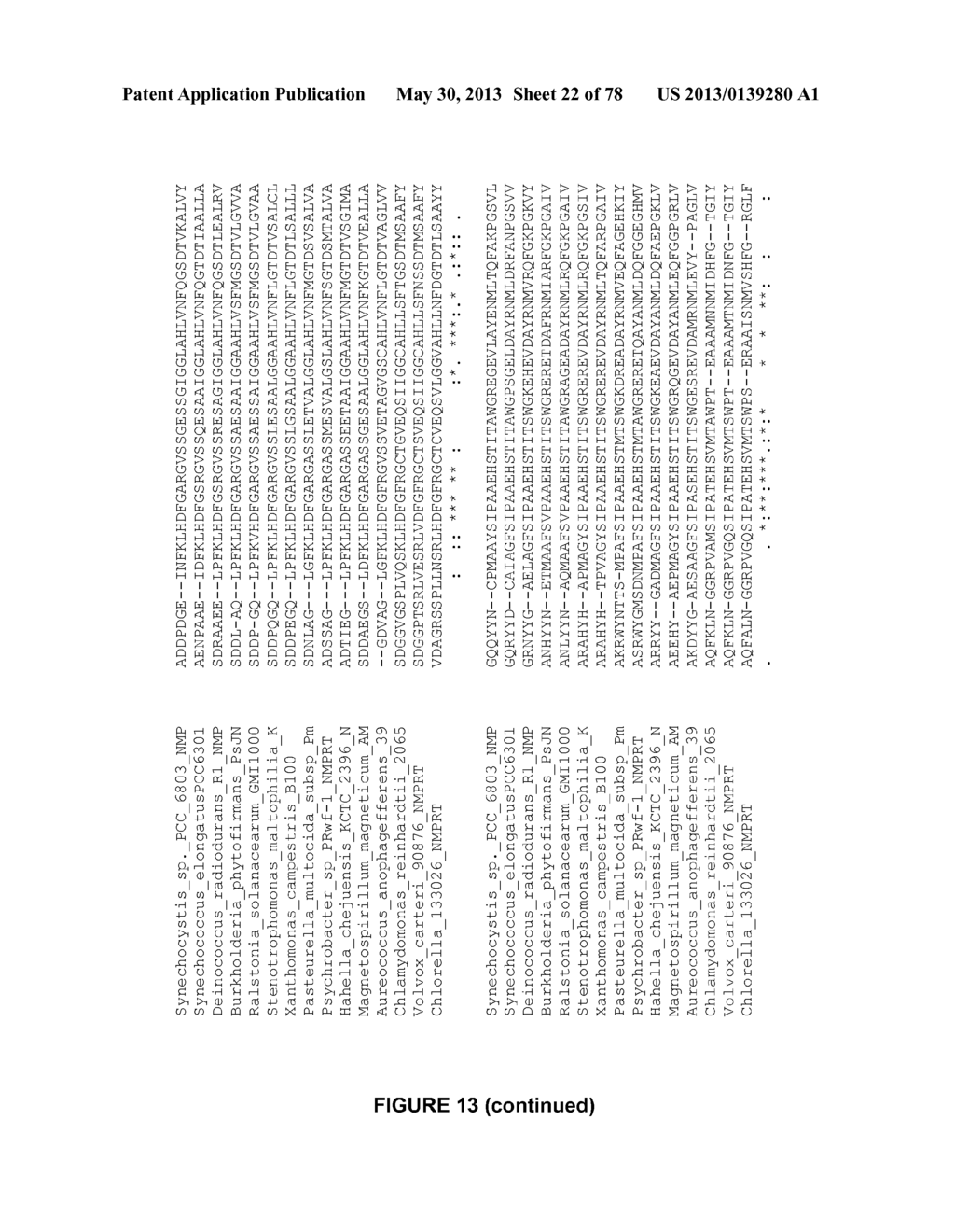 Plants Having Enhanced Yield-Related Traits and a Method for Making the     Same - diagram, schematic, and image 23