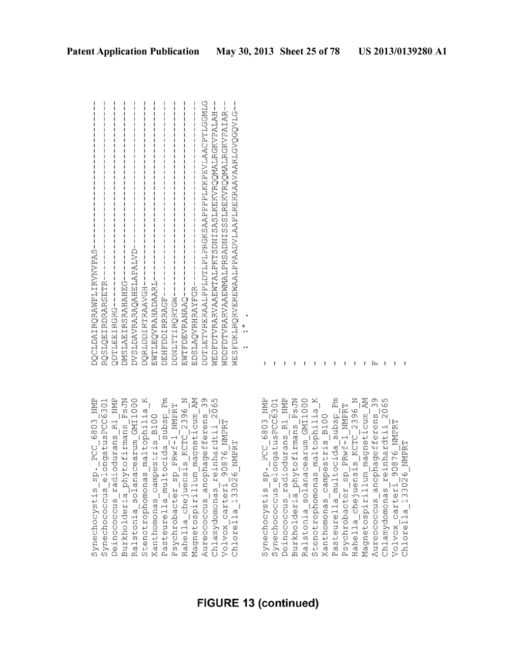 Plants Having Enhanced Yield-Related Traits and a Method for Making the     Same - diagram, schematic, and image 26