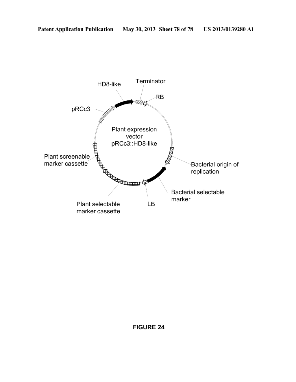 Plants Having Enhanced Yield-Related Traits and a Method for Making the     Same - diagram, schematic, and image 79