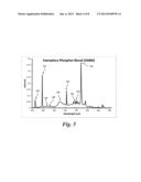 PHOSPHOR SYSTEM FOR IMPROVED EFFICACY LIGHTING SOURCES diagram and image