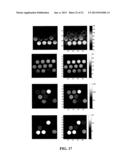 SYSTEMS AND METHODS FOR MEASURING NUCLEAR MAGNETIC RESONANCE SPIN-LATTICE     RELAXATION TIME T1 AND SPIN-SPIN RELAXATION TIME T2 diagram and image