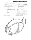 Optic Assembly Having Virtual External Common Focus diagram and image