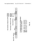 Synchronization Signals Detection diagram and image