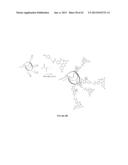 MULTIFUNCTIONAL DEGRADABLE NANOPARTICLES WITH CONTROL OVER SIZE AND     FUNCTIONALITIES diagram and image