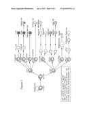 Method of Enhancing Hematopoietic Cell Transplantation diagram and image