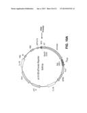 METHODS OF CARDIAC REPAIR diagram and image