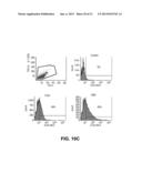 METHODS OF CARDIAC REPAIR diagram and image