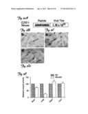 METHODS AND COMPOSITIONS FOR TREATING BRAIN DISEASES diagram and image