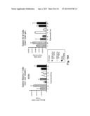 ANTI-ICOS ANTIBODIES AND THEIR USE IN TREATMENT OF ONCOLOGY,     TRANSPLANTATION AND AUTOIMMUNE DISEASE diagram and image