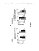 METHOD OF TREATING TUMOR RESISTANT TO HERCEPTIN OR PACLITAXEL USING FOXM1     INHIBITORS AND DETECTING SAME diagram and image