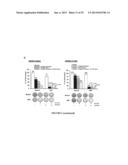 METHOD OF TREATING TUMOR RESISTANT TO HERCEPTIN OR PACLITAXEL USING FOXM1     INHIBITORS AND DETECTING SAME diagram and image