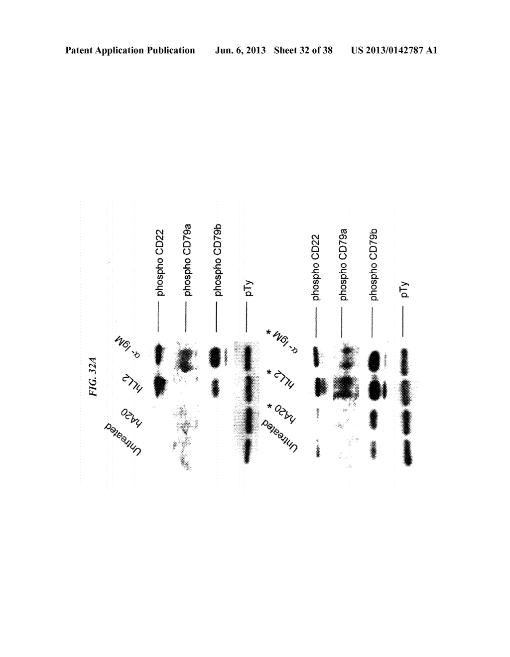 Therapeutic Use of Anti-CD22 Antibodies for Inducing Trogocytosis - diagram, schematic, and image 33