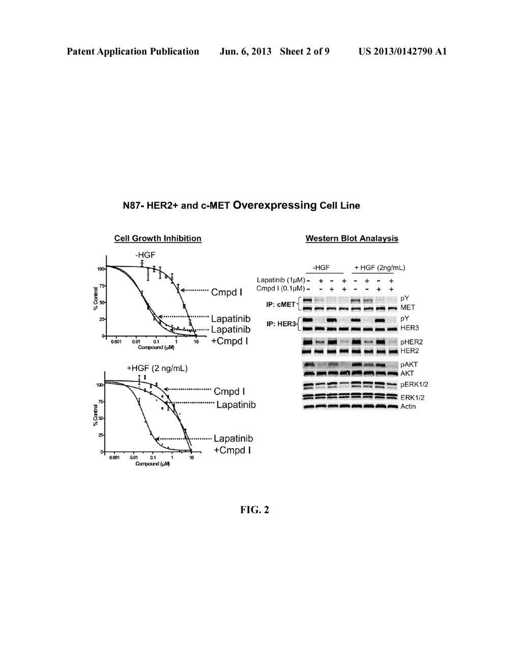 Method of Treating Cancer Using a cMET and AXL Inhibitor and an ErbB     Inhibitor - diagram, schematic, and image 03