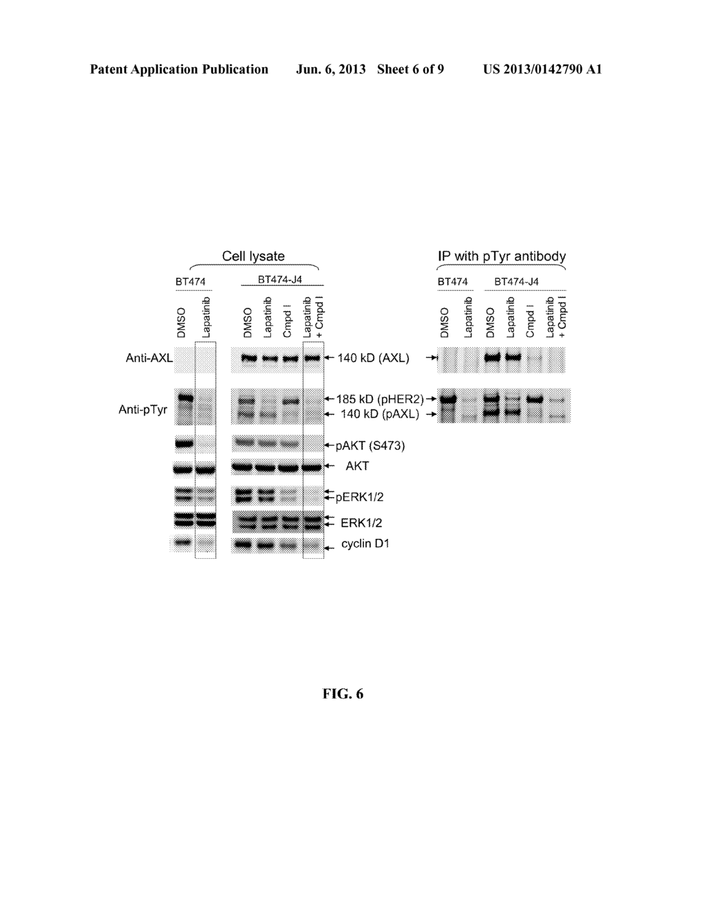 Method of Treating Cancer Using a cMET and AXL Inhibitor and an ErbB     Inhibitor - diagram, schematic, and image 07