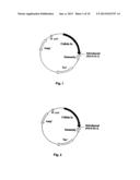 METHOD OF TREATING VIRUS-INDUCED CANCER diagram and image