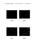 METHOD OF TREATING VIRUS-INDUCED CANCER diagram and image