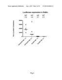 COMPLEXATION OF NUCLEIC ACIDS WITH DISULFIDE-CROSSLINKED CATIONIC     COMPONENTS FOR TRANSFECTION AND IMMUNOSTIMULATION diagram and image