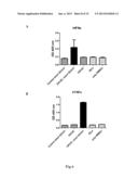 COMPLEXATION OF NUCLEIC ACIDS WITH DISULFIDE-CROSSLINKED CATIONIC     COMPONENTS FOR TRANSFECTION AND IMMUNOSTIMULATION diagram and image