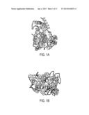 METHOD OF PREVENTING AND TREATING INFLAMMATORY DISEASES AND DISORDERS WITH     ABSCISIC ACID diagram and image