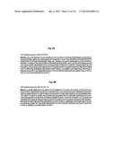 RECOMBINANT INFLUENZA VIRUS-LIKE PARTICLES (VLPS) PRODUCED IN TRANSGENIC     PLANTS EXPRESSING HEMAGGLUTININ diagram and image