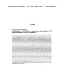 RECOMBINANT INFLUENZA VIRUS-LIKE PARTICLES (VLPS) PRODUCED IN TRANSGENIC     PLANTS EXPRESSING HEMAGGLUTININ diagram and image