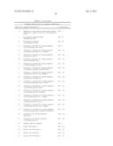 RECOMBINANT INFLUENZA VIRUS-LIKE PARTICLES (VLPS) PRODUCED IN TRANSGENIC     PLANTS EXPRESSING HEMAGGLUTININ diagram and image