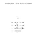 RECOMBINANT INFLUENZA VIRUS-LIKE PARTICLES (VLPS) PRODUCED IN TRANSGENIC     PLANTS EXPRESSING HEMAGGLUTININ diagram and image