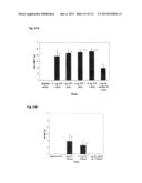 RECOMBINANT INFLUENZA VIRUS-LIKE PARTICLES (VLPS) PRODUCED IN TRANSGENIC     PLANTS EXPRESSING HEMAGGLUTININ diagram and image