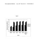 RECOMBINANT INFLUENZA VIRUS-LIKE PARTICLES (VLPS) PRODUCED IN TRANSGENIC     PLANTS EXPRESSING HEMAGGLUTININ diagram and image