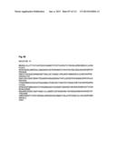 RECOMBINANT INFLUENZA VIRUS-LIKE PARTICLES (VLPS) PRODUCED IN TRANSGENIC     PLANTS EXPRESSING HEMAGGLUTININ diagram and image